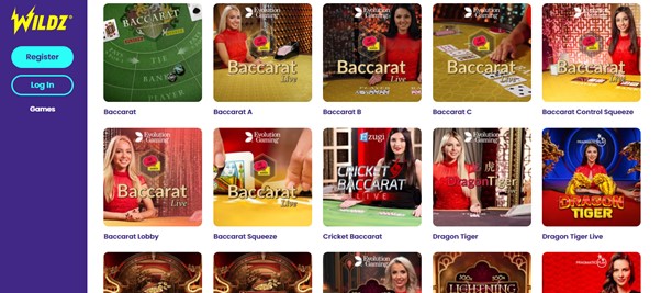 baccarat at wildz casino