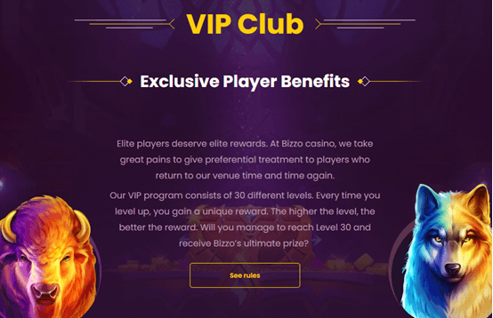 Other Benefits of the VIP Program 